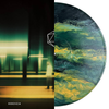 Custom Painted Album Cover Vinyls